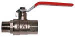 Ball valve F/M 1