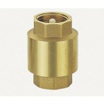 Check valve ½